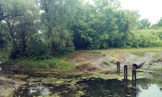 Экологические услуги от ПромМир-Бль в Большой Камне - стоимость от 12169 руб.