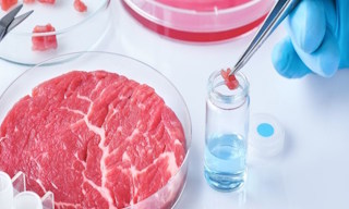 Лабораторный анализ пищевых продуктов по СанПиН в Большой Камне в октябре