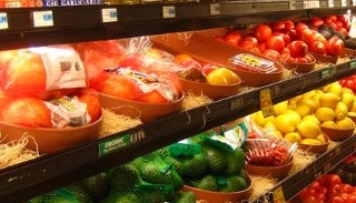 Сертификация пищевой продукции в Большой Камне – цена от 10141 руб. | ПромМир-Бль