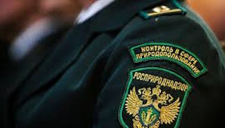 Подготовка к проверке Росприроднадзора в Большой Камне от ПромМир-Бль, стоимость услуги от 20282 руб.