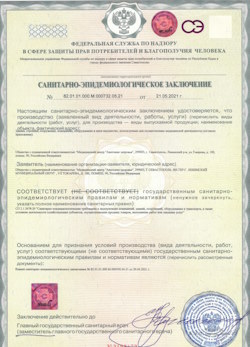 30.11.2024 Большой Камень - СЭЗ - Анатомия здоровья